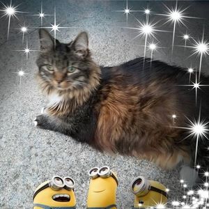 Meet your Posher, Donna